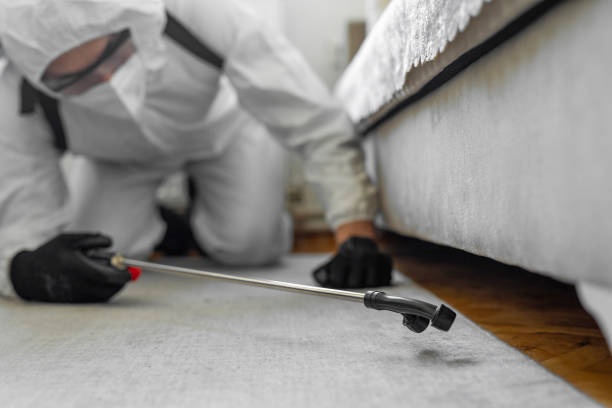 Professional Fumigation Services technician working in Plandome, NY