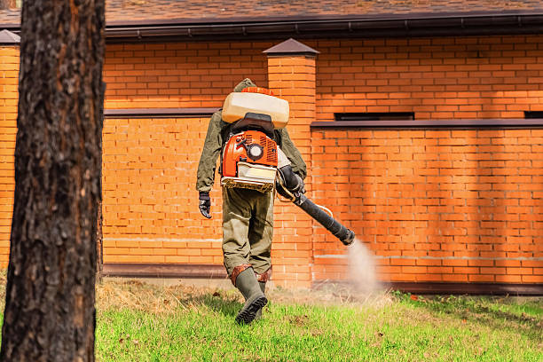 Trusted Mosquito Control service in Plandome, NY - Nex Pest Control